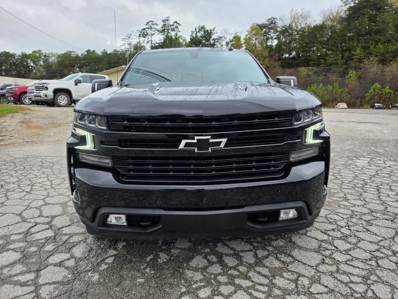 2021 Chevrolet Silverado 1500 photo 2